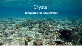  Presentation with coral reef - Presentation theme enhanced with tropical-coral-reef-ecosystem background and a ocean colored foreground