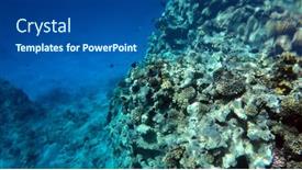  Presentation with coral - Beautiful PPT theme featuring tropical-coral-reef-ecosystem backdrop and a ocean colored foreground