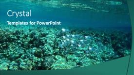  Presentation with coral reef - Amazing presentation design having tropical-coral-reef-ecosystem backdrop and a ocean colored foreground