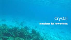  Presentation with coral reef - Slides enhanced with tropical-coral-reef-ecosystem background and a light gray colored foreground