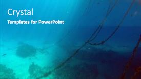  Presentation with coral reef - Beautiful slides featuring tropical-coral-reef-ecosystem backdrop and a teal colored foreground