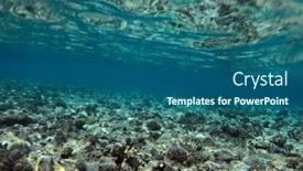  Presentation with coral reef - PPT theme having tropical-coral-reef-ecosystem background and a ocean colored foreground