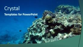  Presentation with coral reef - Cool new PPT layouts with tropical-coral-reef-ecosystem backdrop and a ocean colored foreground