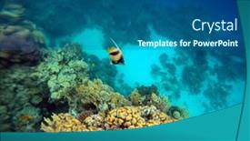 Presentation with coral - Cool new presentation theme with tropical-coral-reef-ecosystem backdrop and a ocean colored foreground