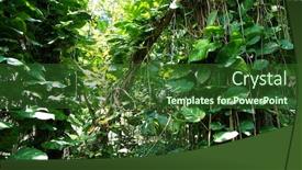  Presentation with tropical - Presentation theme featuring tropical-creepers-big-tropical-plant background and a forest green colored foreground