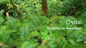  Presentation with fern - Beautiful presentation theme featuring tropical fern in the deep backdrop and a forest green colored foreground
