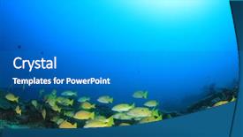  Presentation with fish decapteruss ruselli - Colorful PPT theme enhanced with tropical fish and coral snapper backdrop and a gray colored foreground