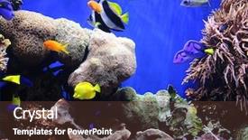  Presentation with fish aquarium - Presentation design with tropical fish in an aquarium background and a tawny brown colored foreground