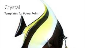  Presentation with tropical - PPT theme consisting of tropical-fish-moorish-idol-isolated background and a white colored foreground