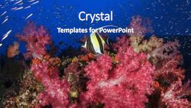  Presentation with tropical reef fish - Audience pleasing presentation design consisting of tropical fish moorish idol backdrop and a ocean colored foreground