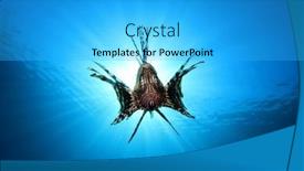  Presentation with underwater - PPT layouts enhanced with tropical-fish-underwater-lionfish background and a cyan colored foreground