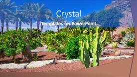  Presentation with island - PPT theme with tropical-flora-of-gran-canaria background and a cobalt blue colored foreground