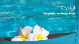  Presentation with plumeria - Theme enhanced with tropical flower plumeria on swimming pool background and a teal colored foreground