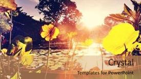  Presentation with tropical flowers - Slides with tropical flowers - summer pond background and a yellow colored foreground
