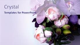  Presentation with tropical flowers - Amazing slide set having tropical-flowers-summer-green-leaf backdrop and a sky blue colored foreground