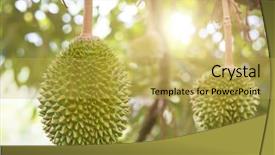  Presentation with tropical fruit - Presentation design featuring tropical food malaysia - fresh durian on the tree background and a yellow colored foreground