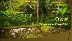  Presentation with rice terraces - Slides with tropical food malaysia - green rice terraces and houses background and a tawny brown colored foreground