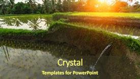  Presentation with rice terraces - Amazing PPT layouts having tropical food malaysia - green rice terraces at sunset backdrop and a tawny brown colored foreground