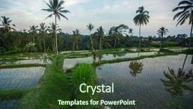  Presentation with rice terraces - Presentation design enhanced with tropical food malaysia - green rice terraces in bali background and a tawny brown colored foreground