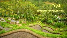  Presentation with rice terraces - Theme enhanced with tropical food malaysia - green rice terraces in bali background and a tawny brown colored foreground