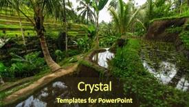  Presentation with rice terraces - Amazing slides having tropical food malaysia - green rice terraces in bali backdrop and a tawny brown colored foreground