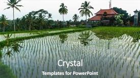  Presentation with rice terraces - Beautiful slide deck featuring tropical food malaysia - green rice terraces in bali backdrop and a gray colored foreground
