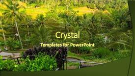  Presentation with rice terraces - Slide deck consisting of tropical food malaysia - green rice terraces in bali background and a tawny brown colored foreground