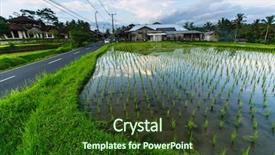  Presentation with rice terraces - Audience pleasing slide deck consisting of tropical food malaysia - green rice terraces road backdrop and a tawny brown colored foreground