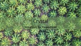  Presentation with oil palm plantation - Slide deck having tropical food malaysia - oil palm plantation aerial photo background and a seafoam green colored foreground