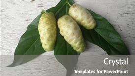  Presentation with fruits - Presentation theme having tropical food malaysia - three noni fruits background and a gray colored foreground