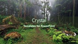  Presentation with tropical forest - Slide deck with tropical forest at pozo da alagoinha azores portugal europe background and a tawny brown colored foreground