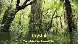  Presentation with tropical forest - Slide set with tropical forest jungle natural background background and a tawny brown colored foreground