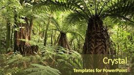  Presentation with tropical forest - Beautiful presentation theme featuring tropical forest jungle natural background backdrop and a  colored foreground