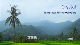  Presentation with house forest - Theme having tropical forest near rice background and a sky blue colored foreground