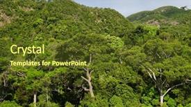  Presentation with tropical forest - Colorful theme enhanced with tropical forest of langkawi malaysia asia backdrop and a tawny brown colored foreground