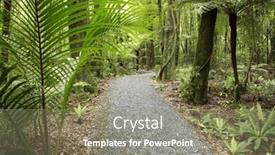  Presentation with tropical forest - Beautiful presentation theme featuring tropical forest path backdrop and a gray colored foreground