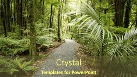  Presentation with tropical forest - PPT theme consisting of tropical forest path background and a tawny brown colored foreground