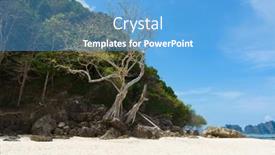  Presentation with tropical forest - Slide set with tropical-forest-sea-coast-beach background and a light blue colored foreground