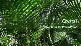  Presentation with tropical forest - Cool new theme with tropical forest with palm plants backdrop and a tawny brown colored foreground