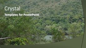  Presentation with tropical forest - Slides enhanced with tropical-forest-with-sea background and a gray colored foreground