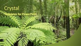  Presentation with tropical forest - Beautiful presentation theme featuring tropical forest backdrop and a tawny brown colored foreground