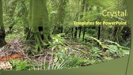  Presentation with tropical forest - Presentation theme having flora fauna - tropical forest background and a tawny brown colored foreground