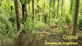  Presentation with tropical forest - Slide set featuring tropical forest background and a tawny brown colored foreground