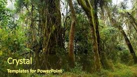  Presentation with tropical forest - Colorful PPT theme enhanced with tropical forest backdrop and a tawny brown colored foreground