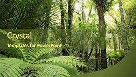  Presentation with tropical forest - Cool new slides with flora fauna - tropical forest backdrop and a tawny brown colored foreground