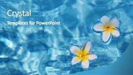  Presentation with blue flower - Presentation theme having flower floating in blue water background and a teal colored foreground