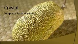  Presentation with buah - Slide set with tropical fruit -buah cempedak background and a gold colored foreground