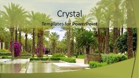  Presentation with avenue - Beautiful presentation featuring tropical garden - palm avenue and fountain backdrop and a yellow colored foreground