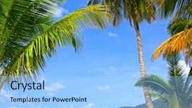  Presentation with tropical forest - Beautiful slides featuring tropical grass glade palm tree forest sea water sky backdrop and a light blue colored foreground