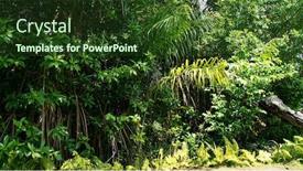  Presentation with tropical forest - Amazing presentation theme having tropical-green-forest-summer-green backdrop and a tawny brown colored foreground